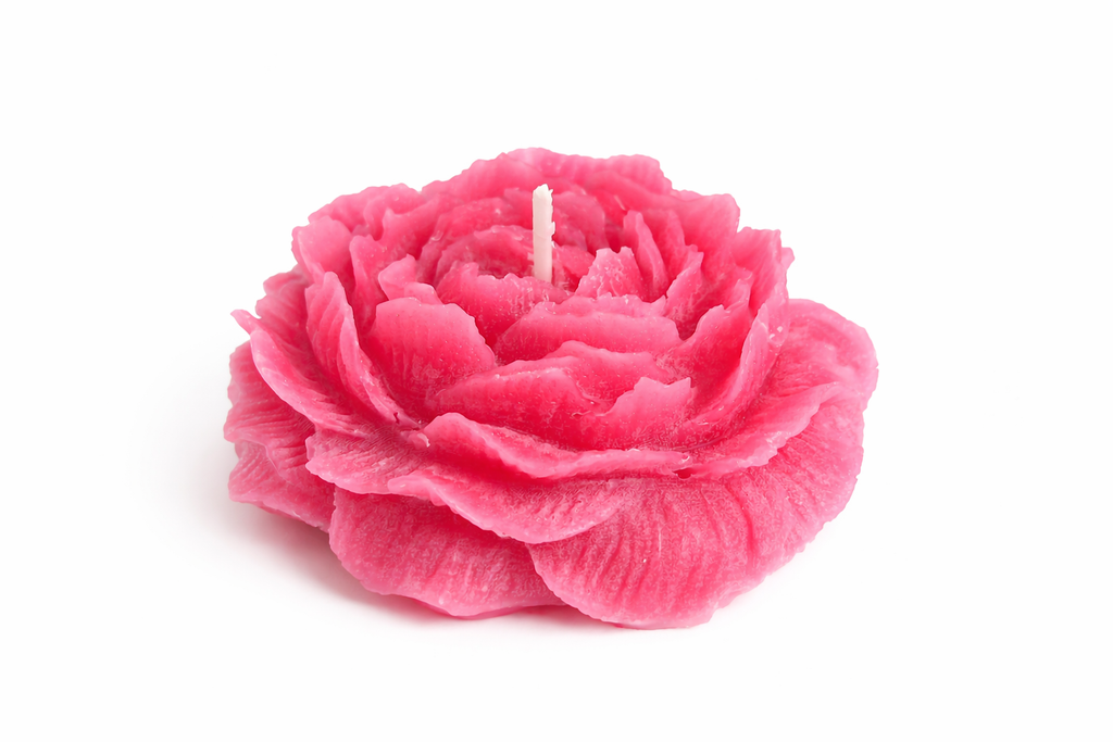Soft Peony
