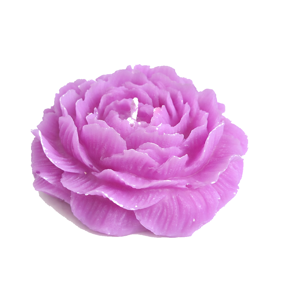 Soft Peony